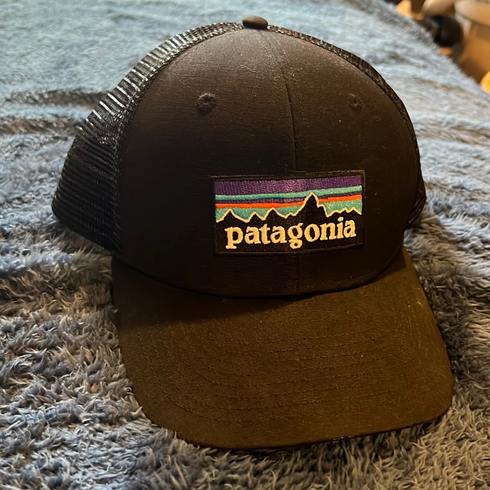 Patagonia snap back hat